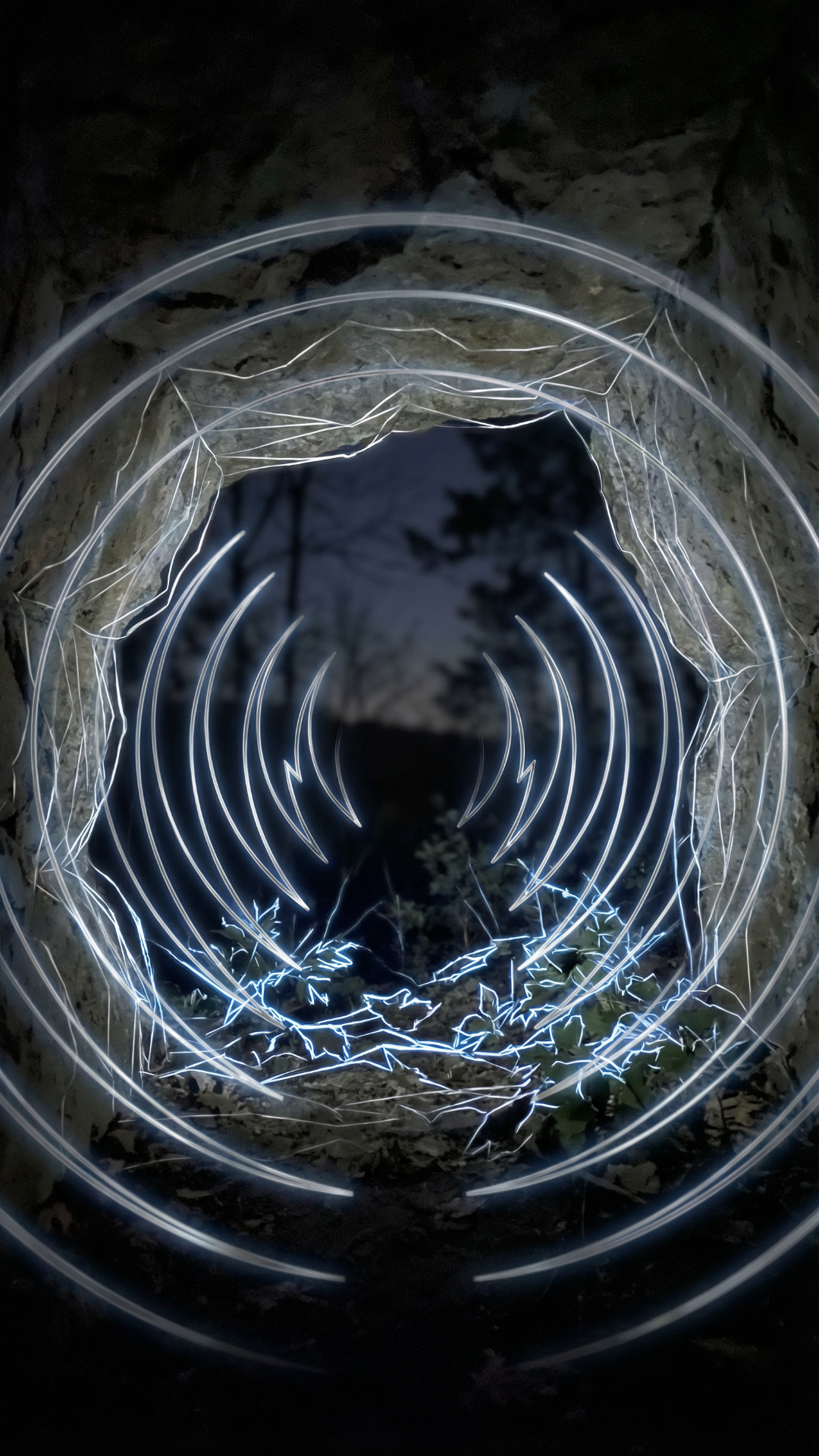 how do these animals see snakes , bats , eagles , hamsters, squids and ants do not show the animals but show me the vision itself from the animals perspective