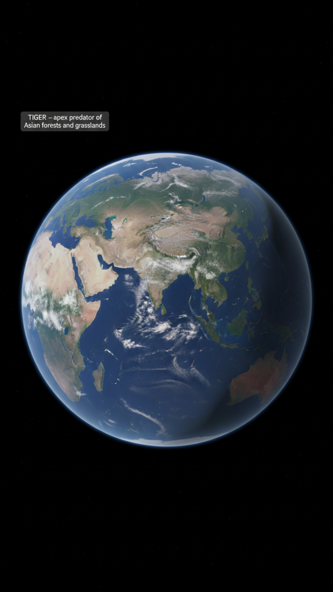 I want to know the most aggressive or the top predator or the most aggressive animal on each continent. There's seven continents, right? But I want the visual to be the Earth from space showing the continent itself. So make sure the continent we're talking about at the specific time is within frame and give me information about the animal. But don't make the visual about the animal. The visual should just be the continent being seen on Earth from space. Create a plan for the look of Earth in space so everything is maintained in all things. Tell me about these animals, what they eat, why they are so dominant, and information about the environments they love staying. But make sure the visual is the continent seen from space where these animals live.
